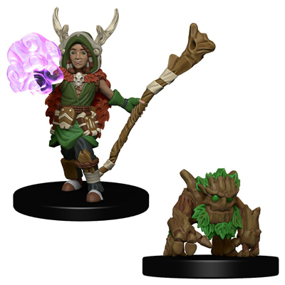Wardlings Boy Druid & Tree Creature